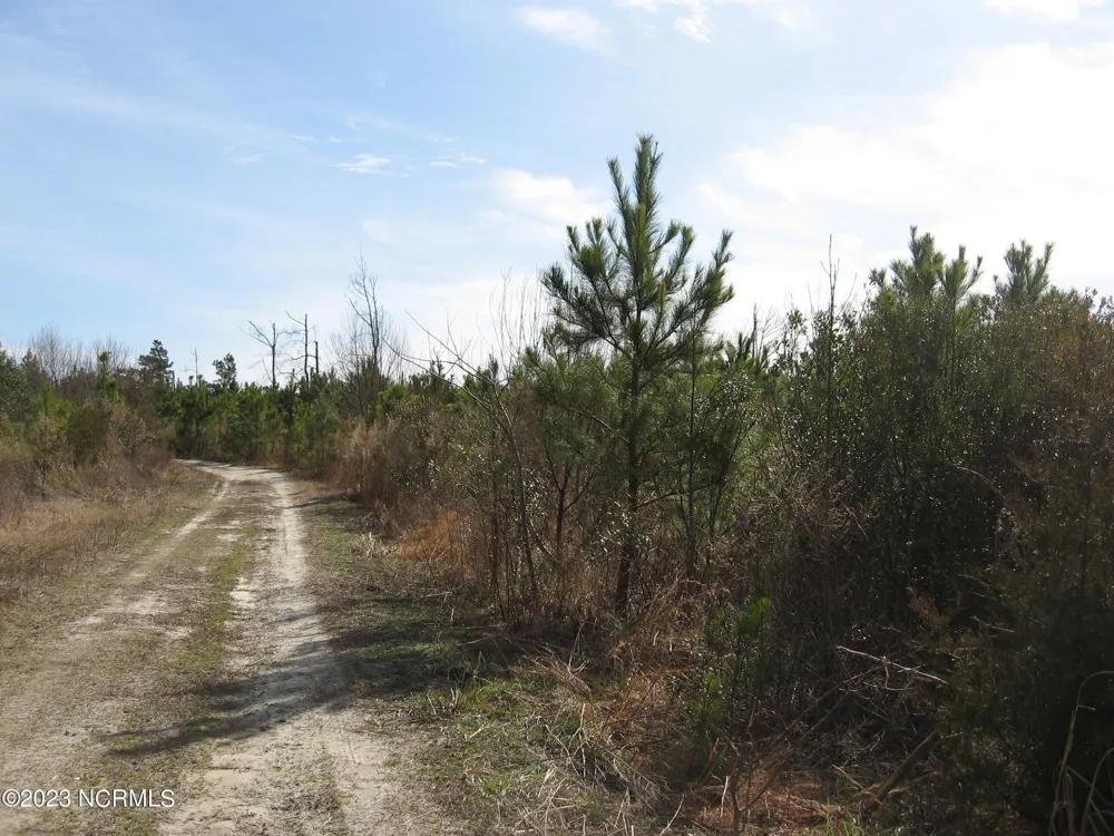 4161 Caratoke Highway Barco, NC 27917