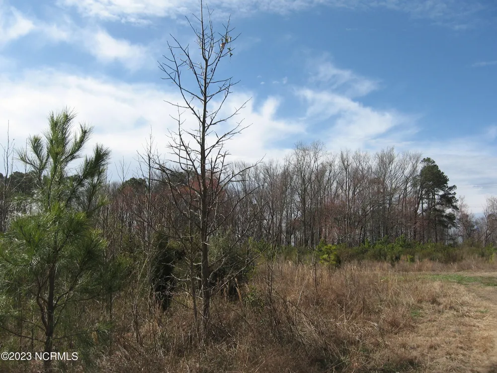 4161 Caratoke Highway Barco, NC 27917