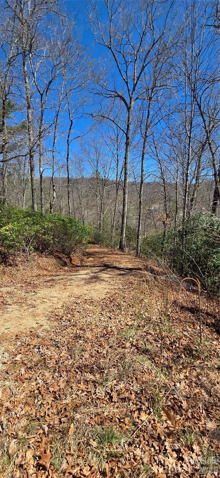 90 Kimiko Lane S #30&31 Balsam Grove, NC 28708