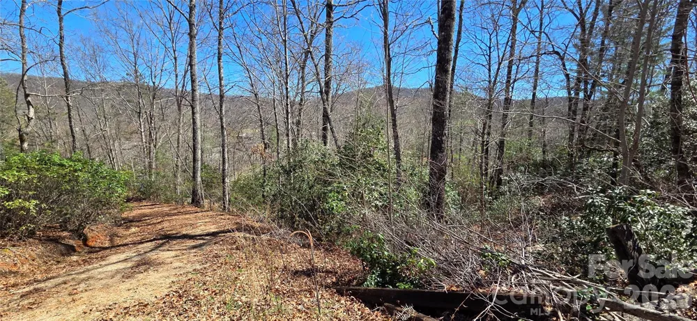 90 Kimiko Lane S #30&31 Balsam Grove, NC 28708