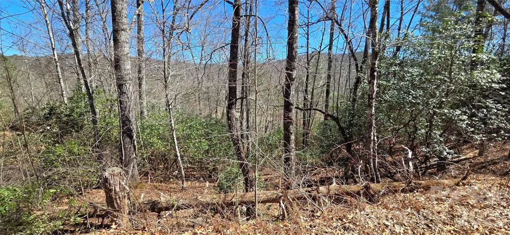 90 Kimiko Lane S #30&31 Balsam Grove, NC 28708