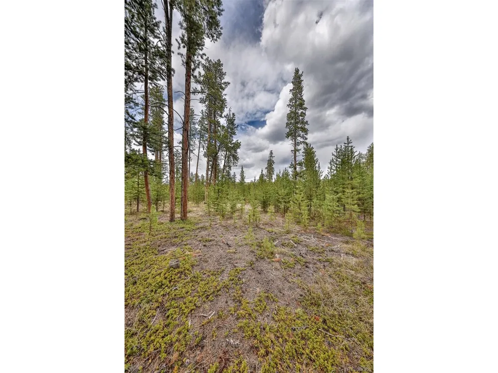 320 Mountain Peak Road Tabernash, CO 80478