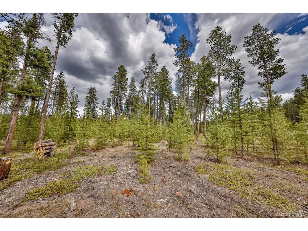 320 Mountain Peak Road Tabernash, CO 80478