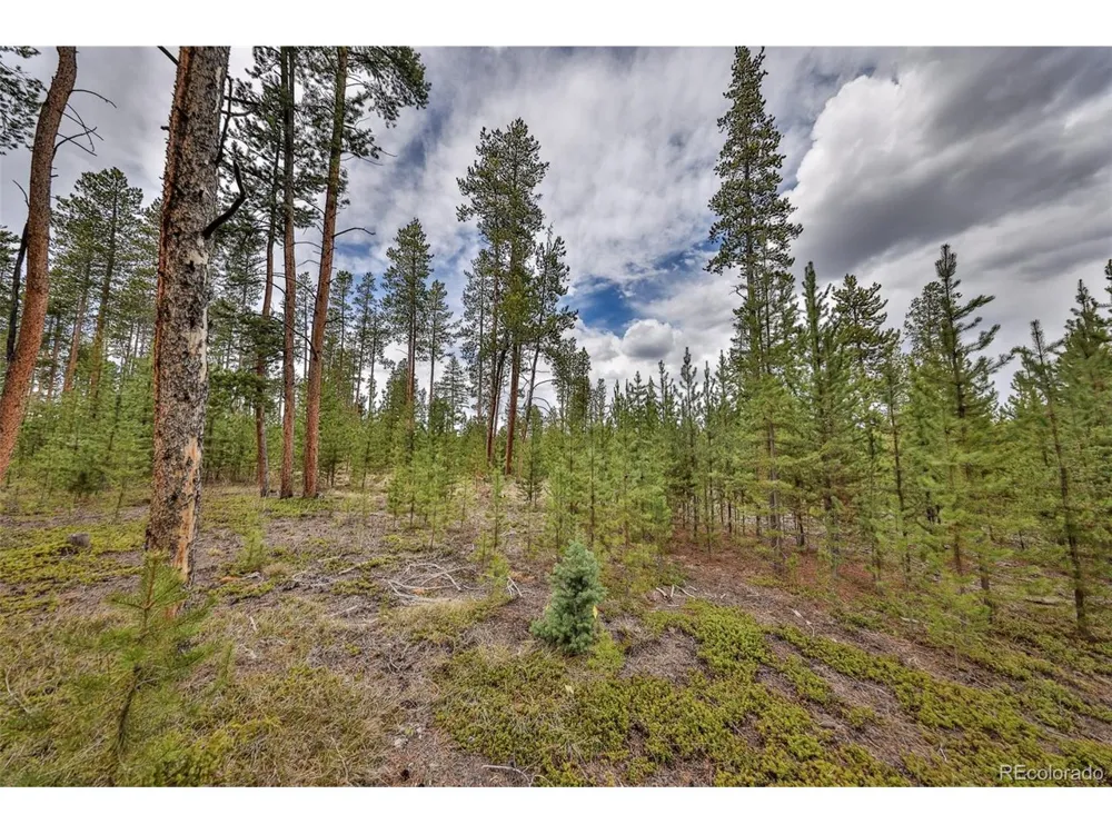 320 Mountain Peak Road Tabernash, CO 80478
