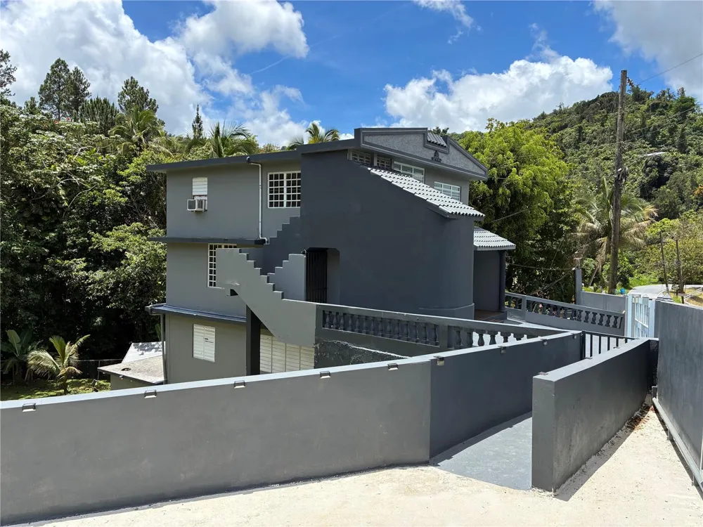 743 KM 4.3 LA VEGA, GUAVATE #1 Cayey, PR 00736