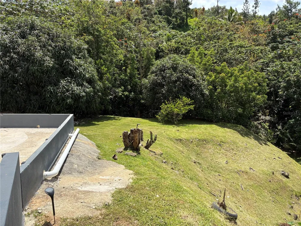 743 KM 4.3 LA VEGA, GUAVATE #1 Cayey, PR 00736