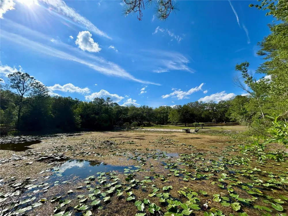 4819 NE 211TH DRIVE Earleton, FL 32631
