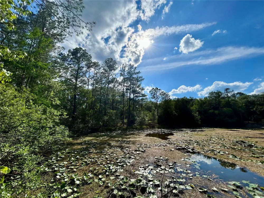 4819 NE 211TH DRIVE Earleton, FL 32631