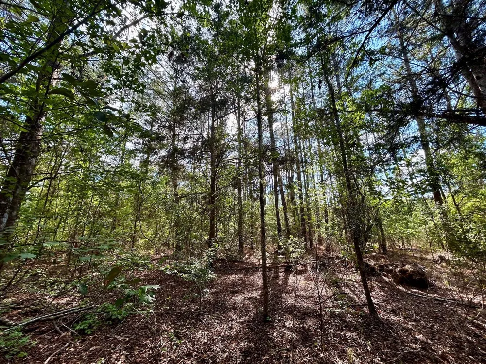 4819 NE 211TH DRIVE Earleton, FL 32631