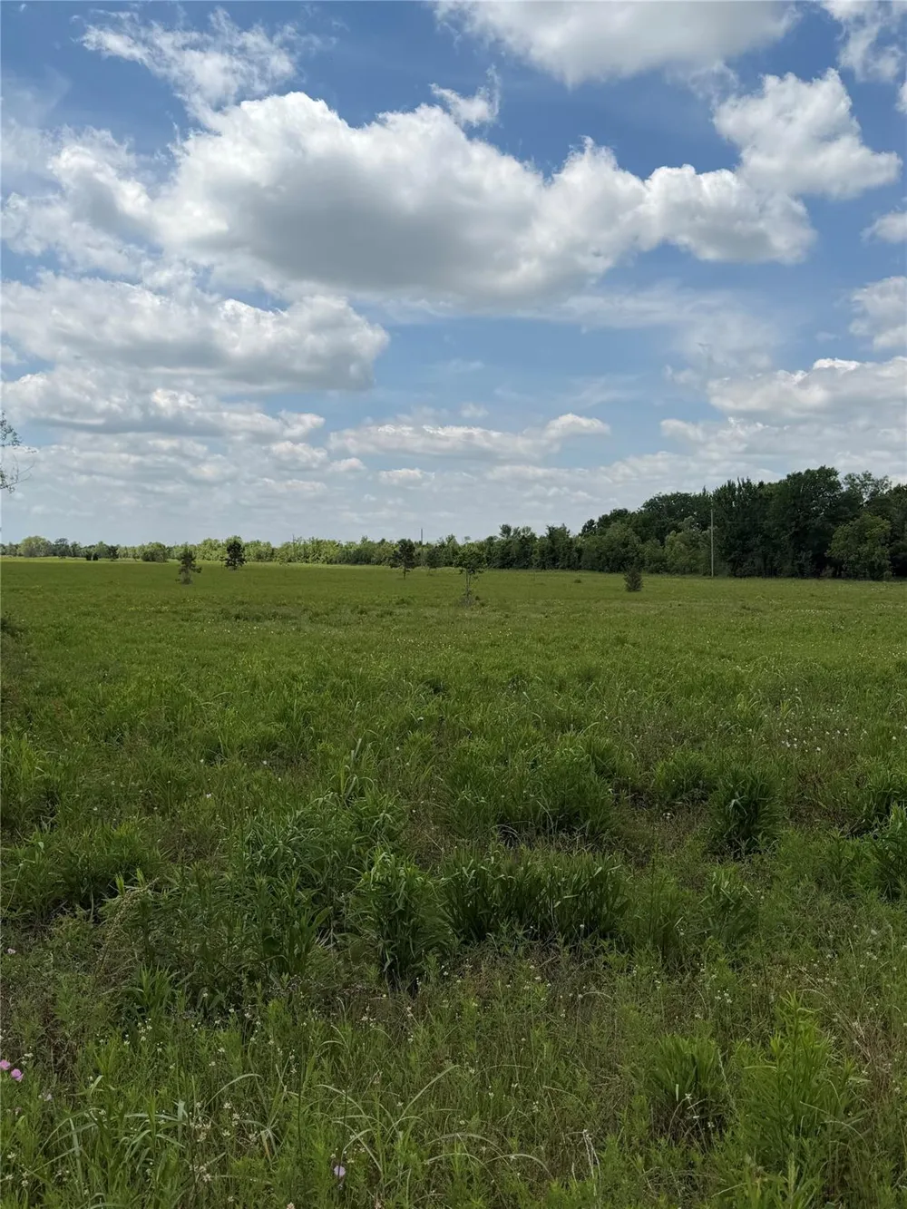 Fm 686 Dayton, TX 77535