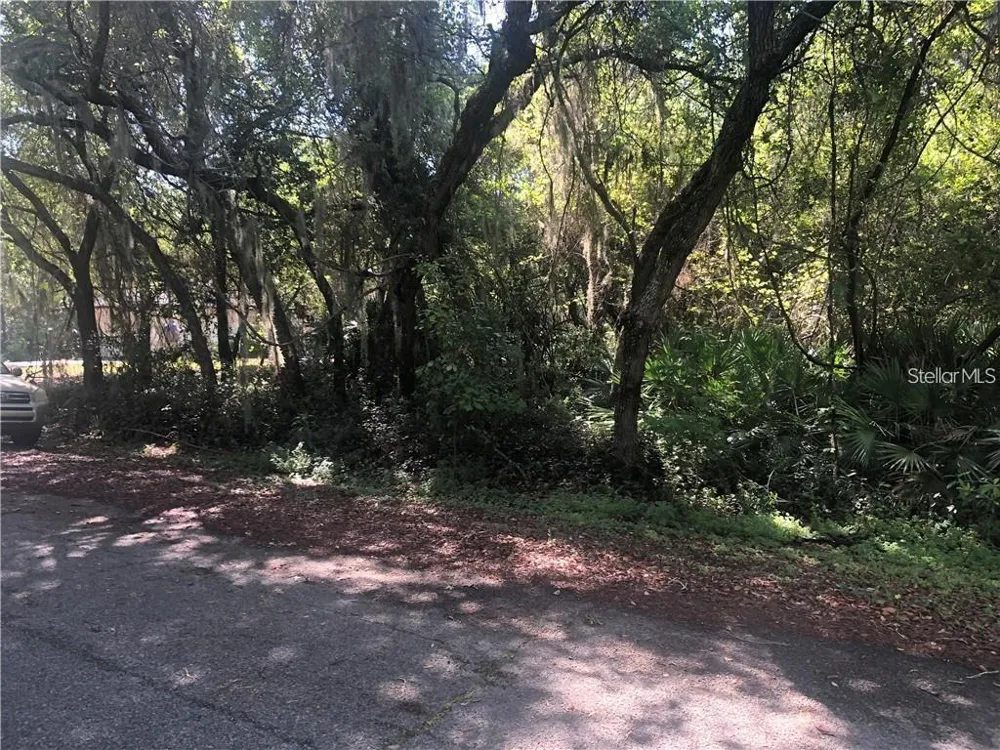 261 TOMS ROAD Debary, FL 32713
