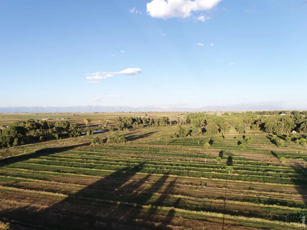 4690 County Road 5 W Monte Vista, CO 81144