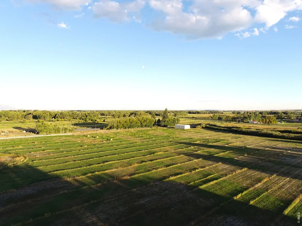 4690 County Road 5 W Monte Vista, CO 81144