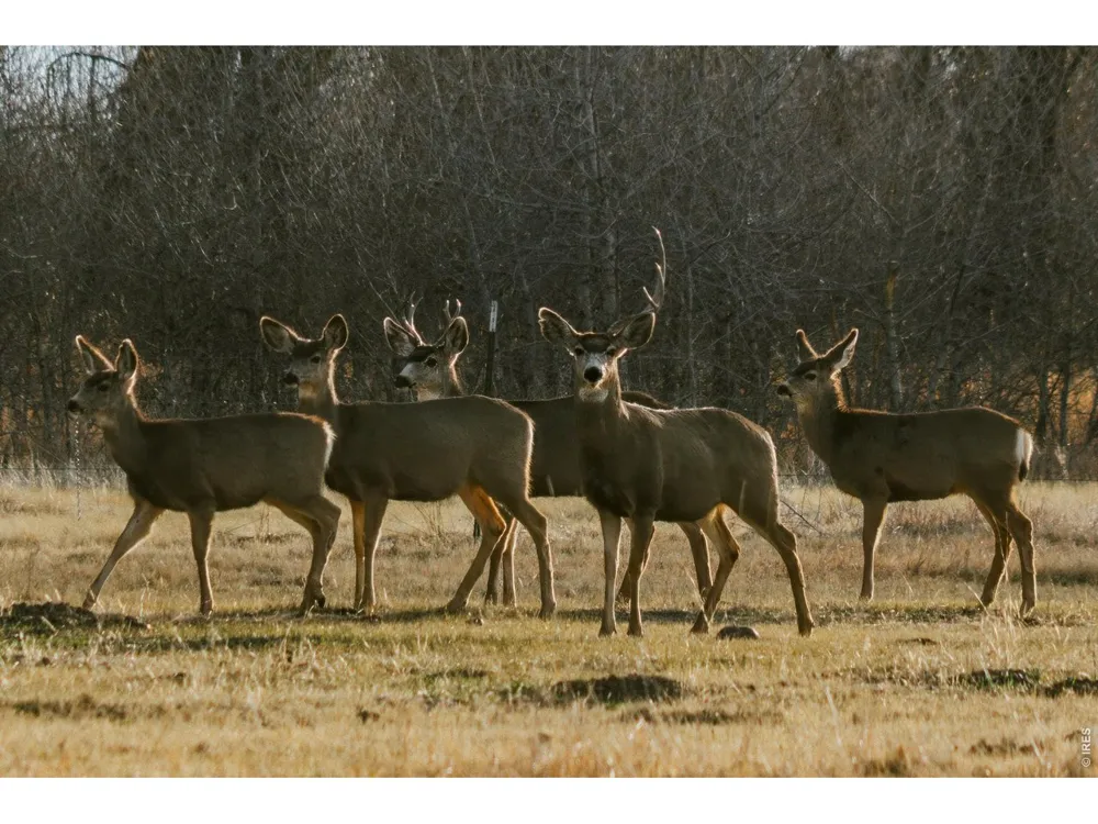 4690 County Road 5 W Monte Vista, CO 81144