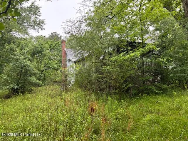 267 Lewis Road Florence, MS 39073