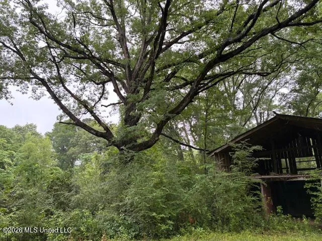 267 Lewis Road Florence, MS 39073