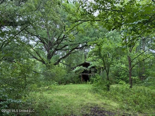 267 Lewis Road Florence, MS 39073