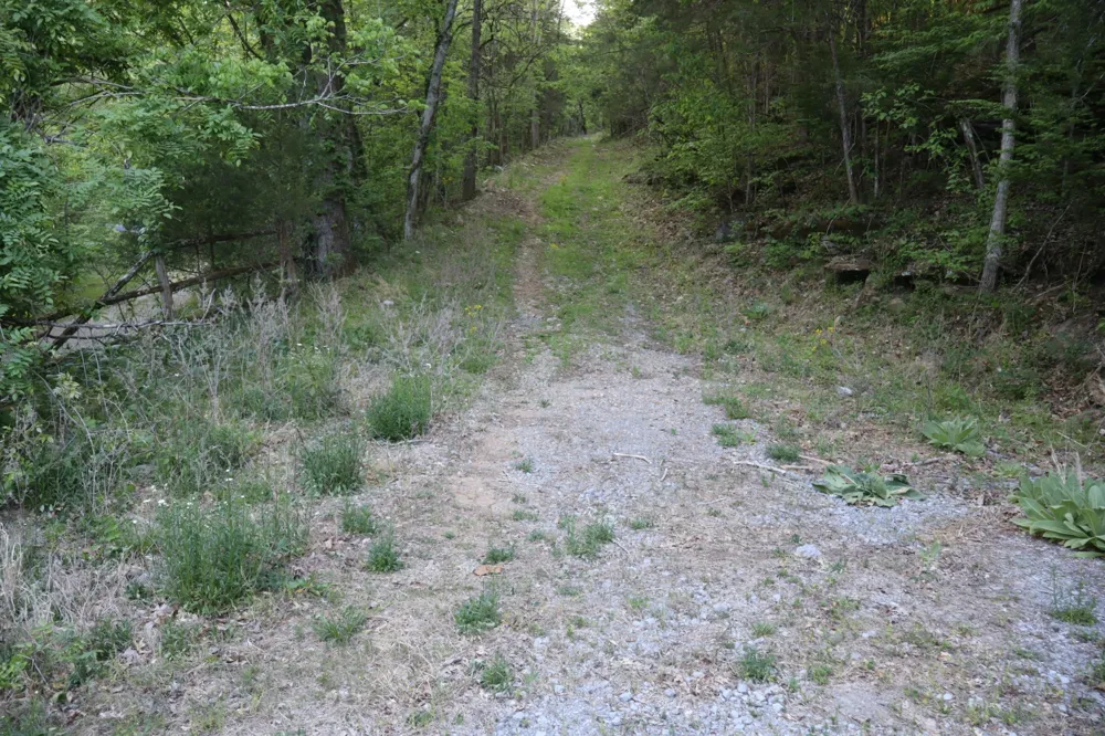 341 Pumpkin Hollow Rd Liberty, TN 37095