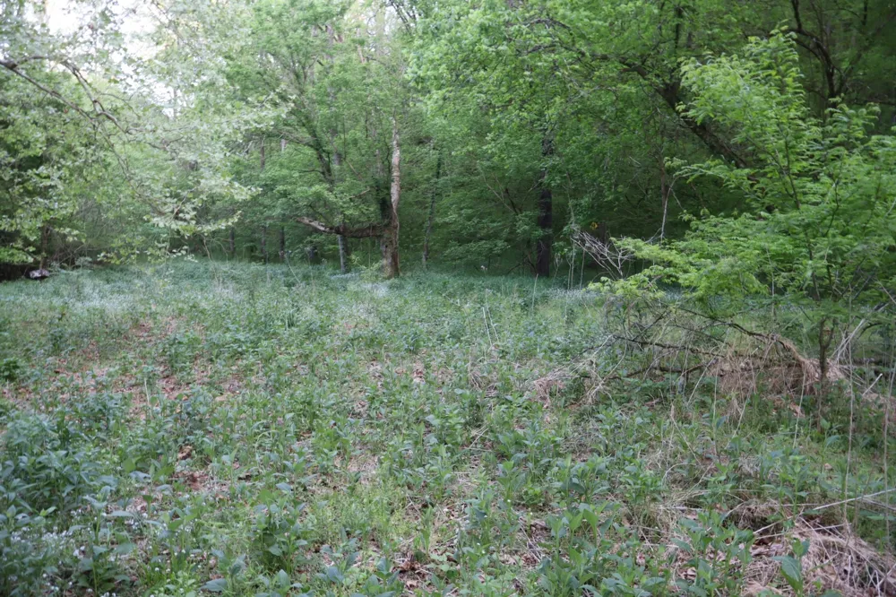 341 Pumpkin Hollow Rd Liberty, TN 37095