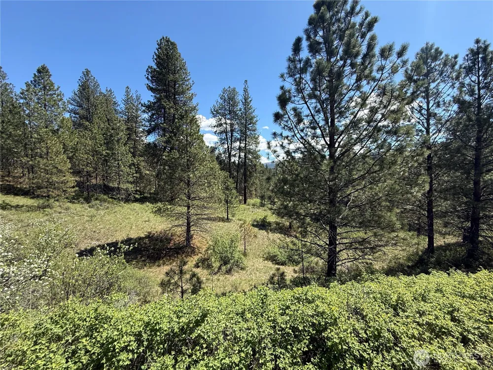 0 TBD Fir Lane Curlew, WA 99118