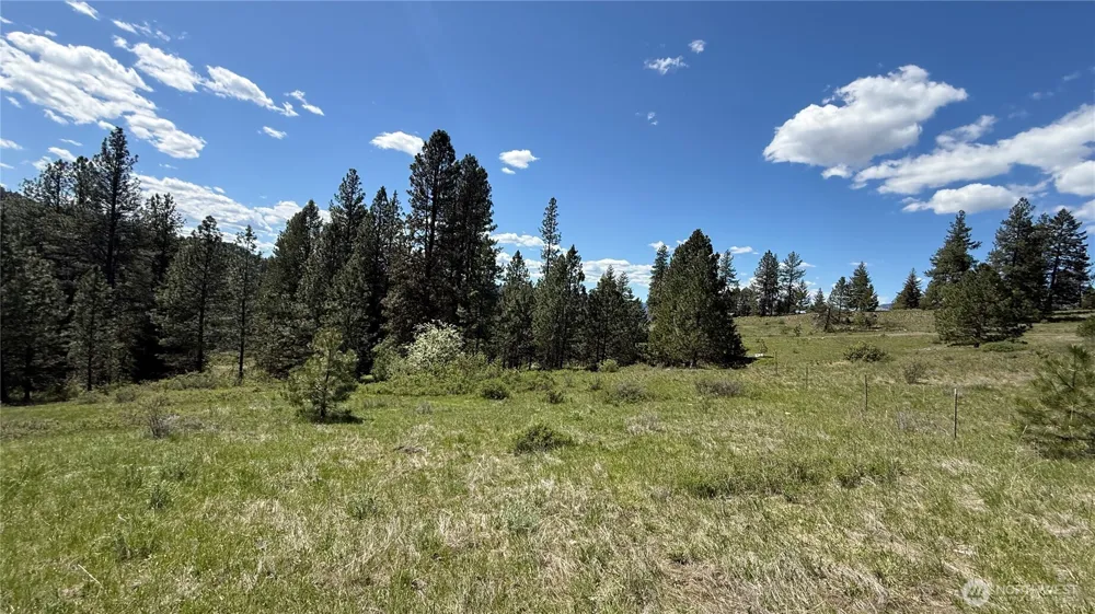 0 TBD Fir Lane Curlew, WA 99118
