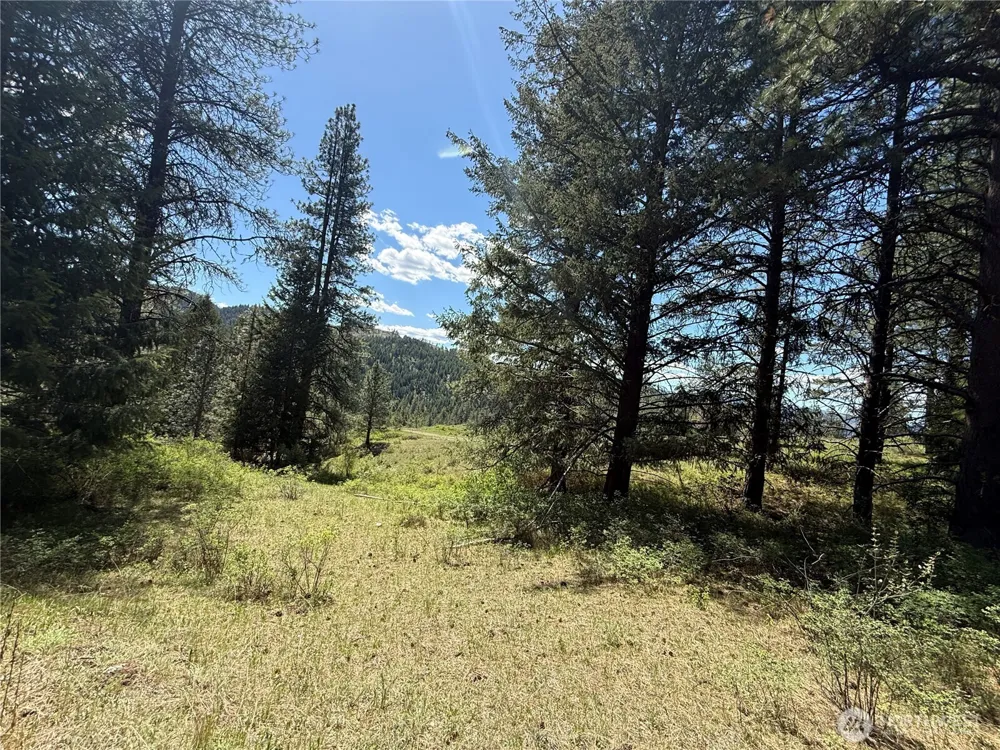 0 TBD Fir Lane Curlew, WA 99118