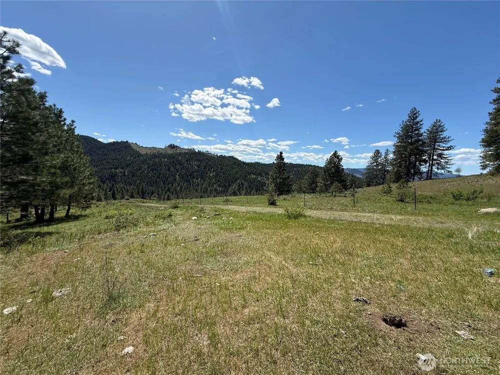 0 TBD Fir Lane Curlew, WA 99118