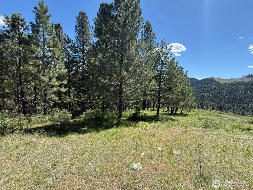 0 TBD Fir Lane Curlew, WA 99118
