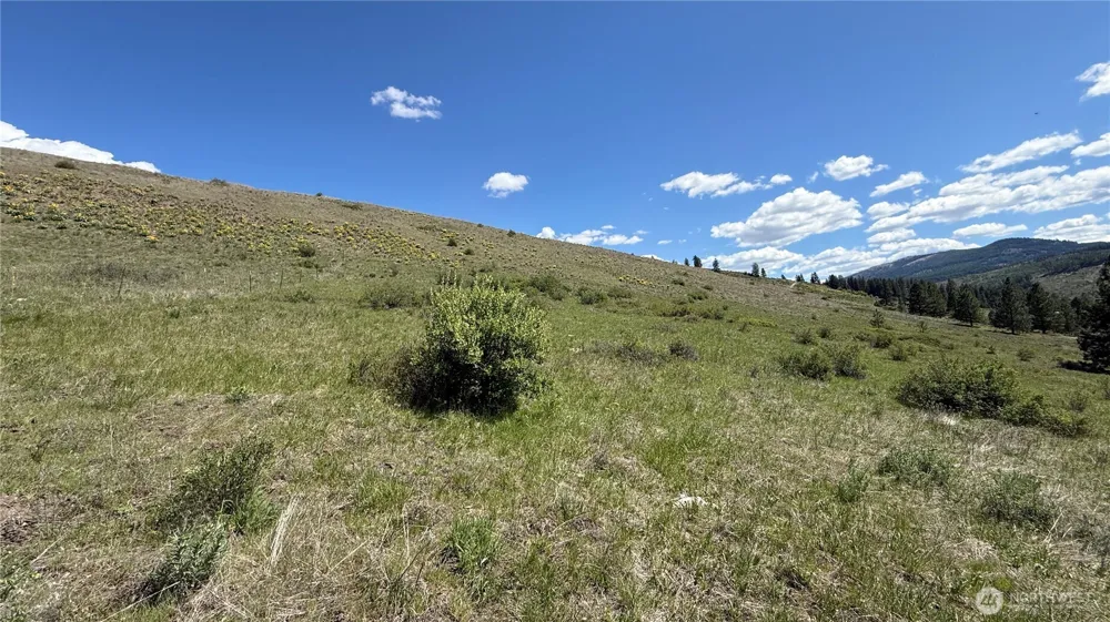 0 TBD Fir Lane Curlew, WA 99118