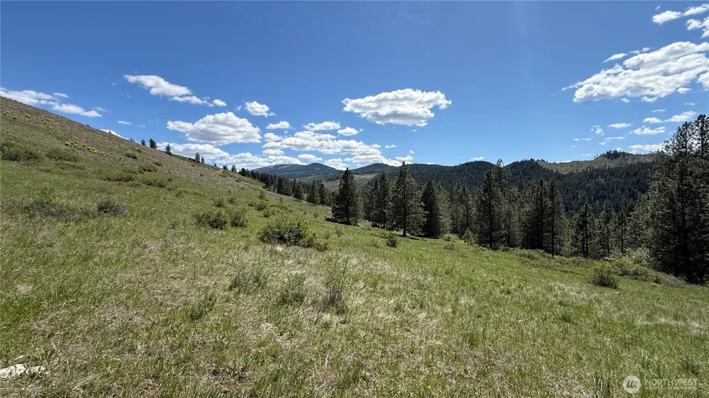0 TBD Fir Lane Curlew, WA 99118