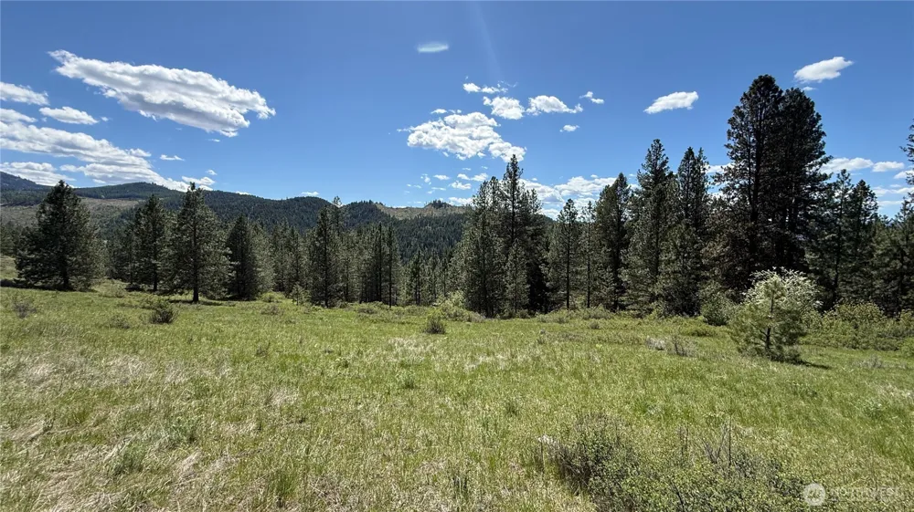 0 TBD Fir Lane Curlew, WA 99118