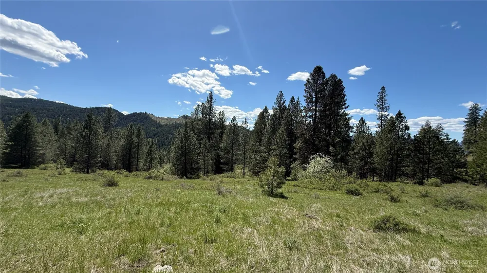 0 TBD Fir Lane Curlew, WA 99118