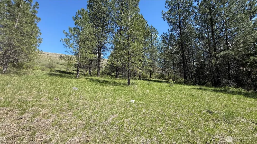 0 TBD Fir Lane Curlew, WA 99118