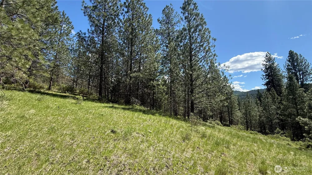 0 TBD Fir Lane Curlew, WA 99118
