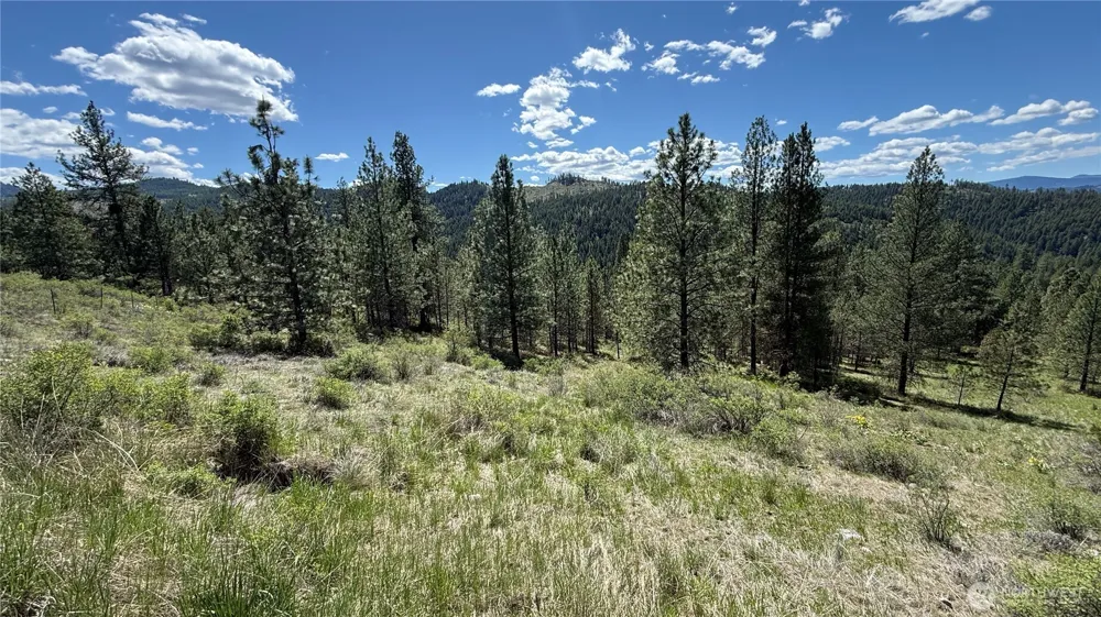 0 TBD Fir Lane Curlew, WA 99118