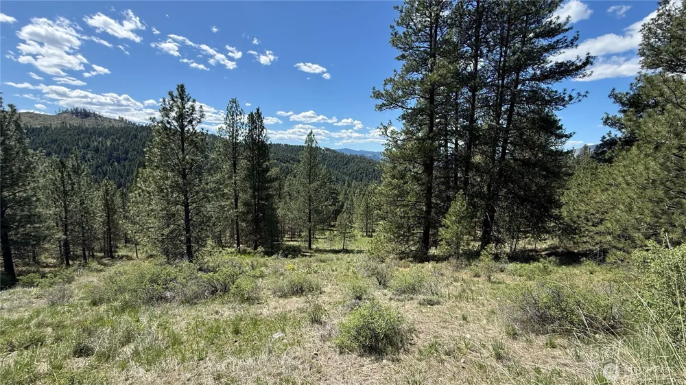 0 TBD Fir Lane Curlew, WA 99118