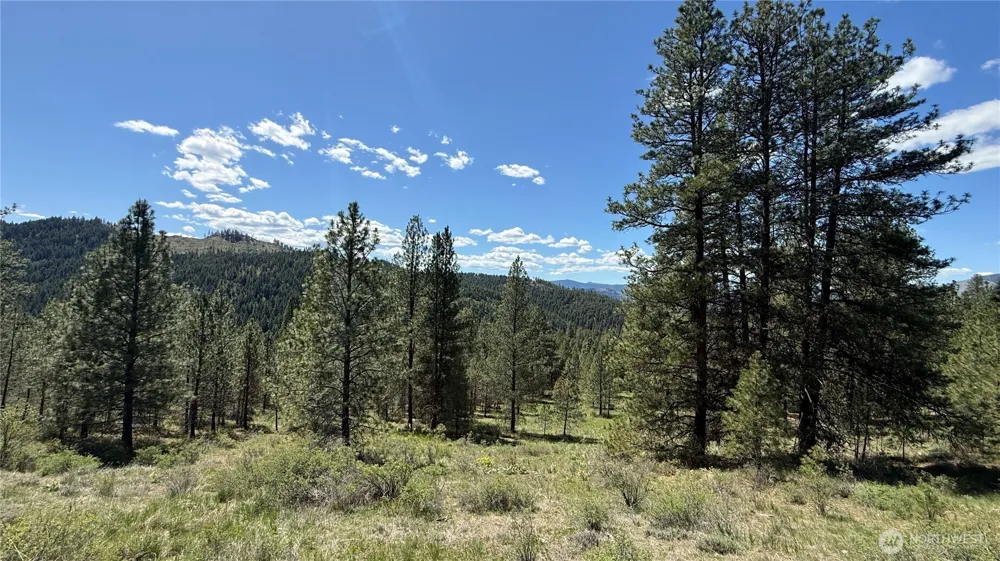 0 TBD Fir Lane Curlew, WA 99118