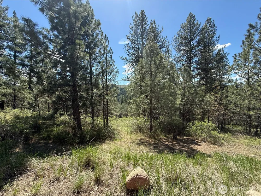 0 TBD Fir Lane Curlew, WA 99118