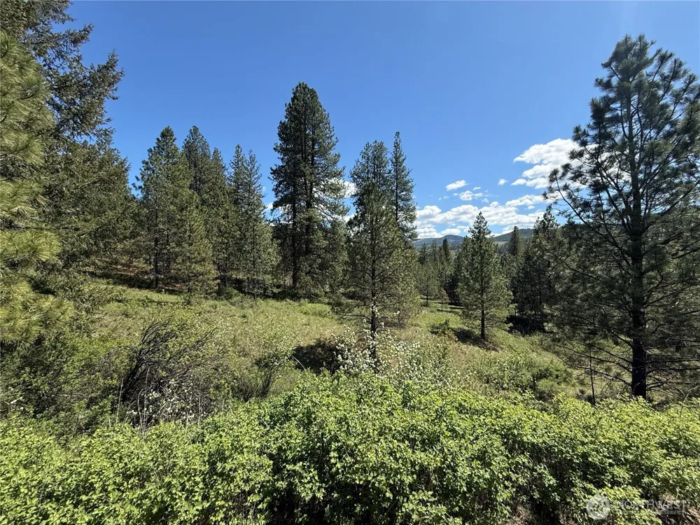 0 TBD Fir Lane Curlew, WA 99118