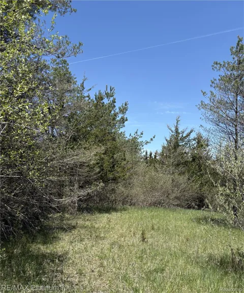 3 Pineway Trail