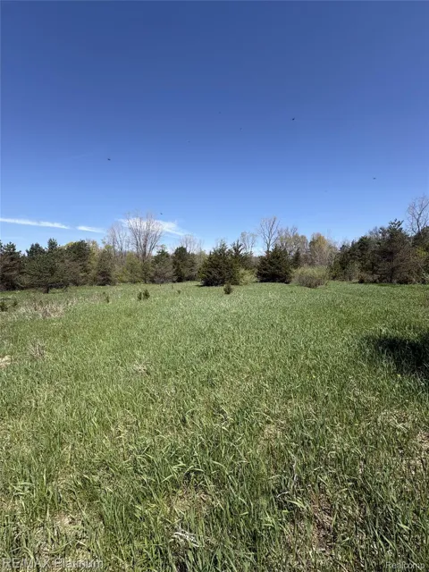2 Pineway Trail
