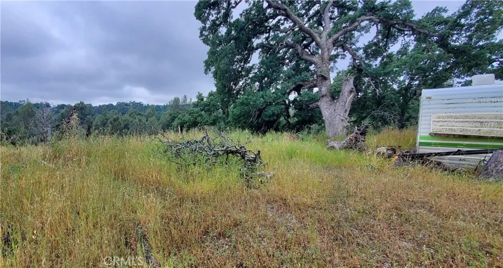 7335 Bluebird Corning, CA 96021
