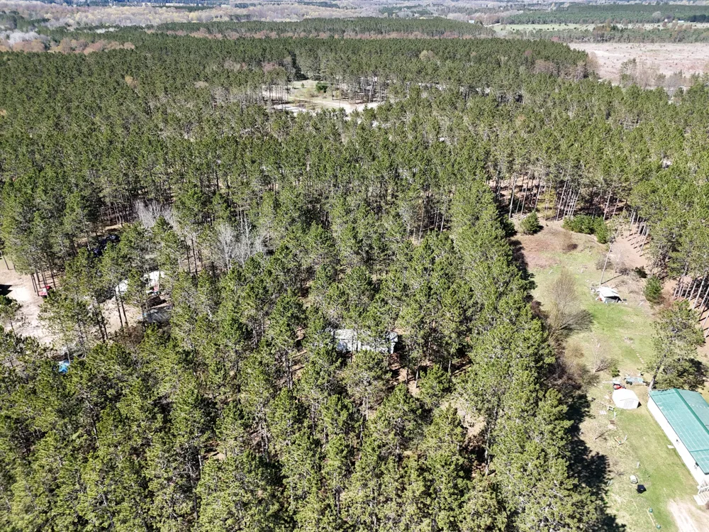 16880 Vondra Road Springdale Township, MI 49683