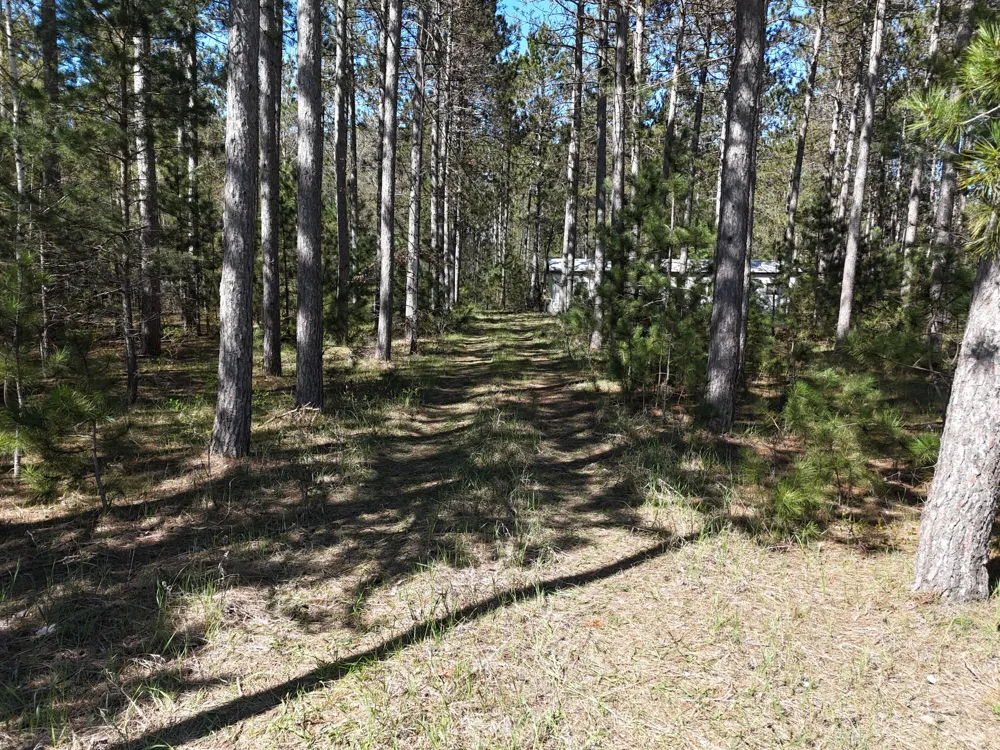 16880 Vondra Road Springdale Township, MI 49683