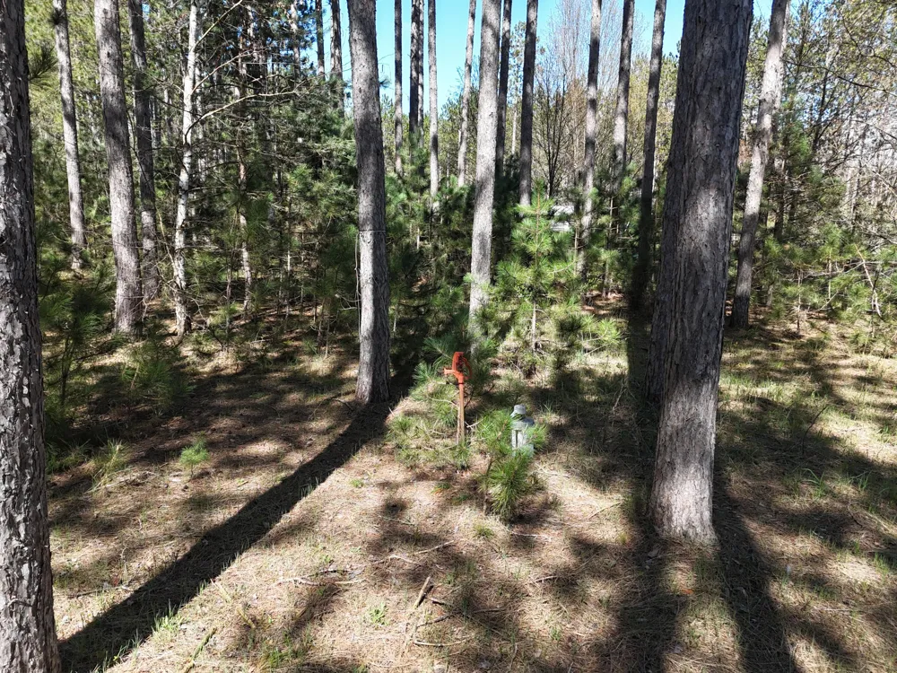 16880 Vondra Road Springdale Township, MI 49683