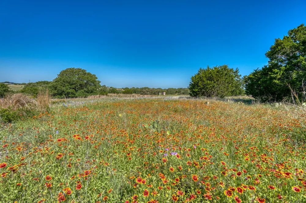 16 Sable Pass Lampasas, TX 76550