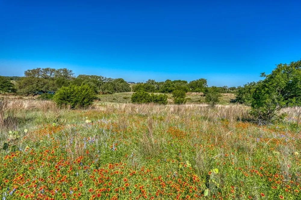 16 Sable Pass Lampasas, TX 76550