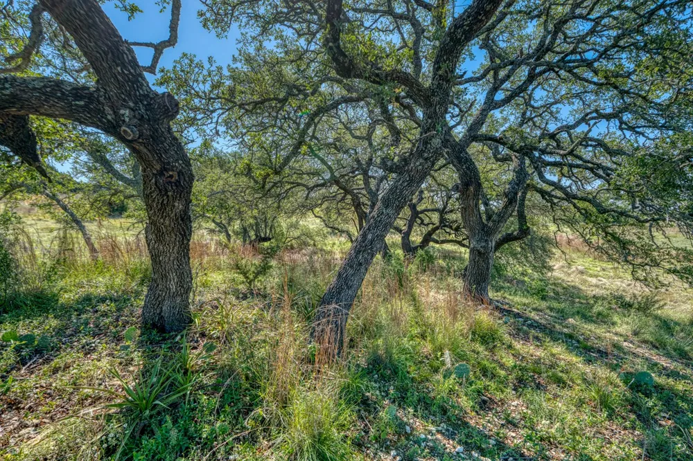 16 Sable Pass Lampasas, TX 76550