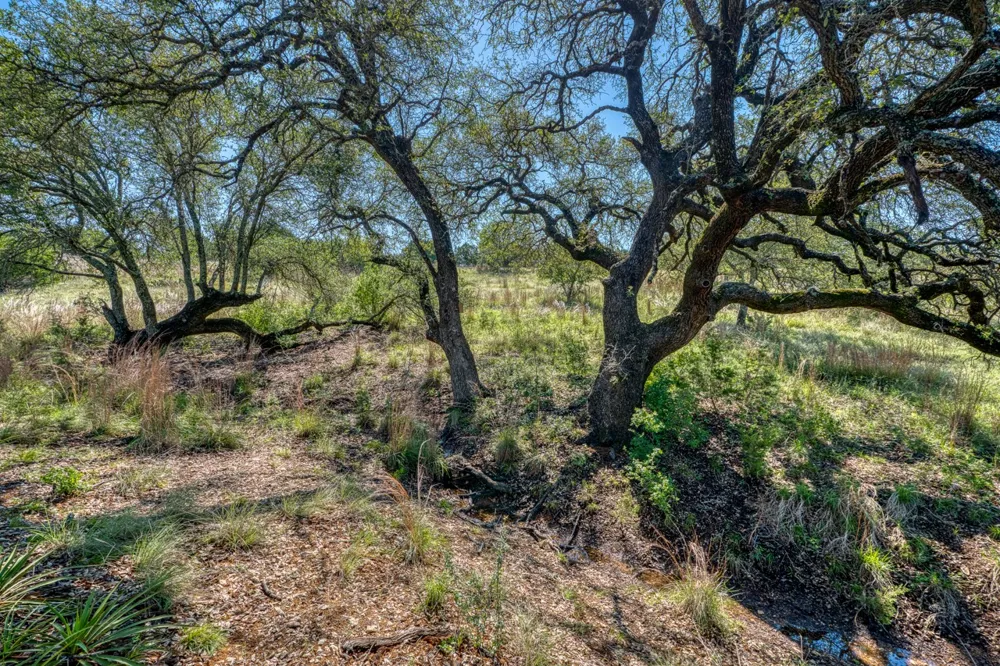 16 Sable Pass Lampasas, TX 76550