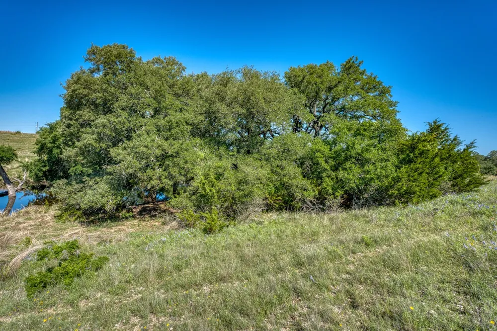 16 Sable Pass Lampasas, TX 76550